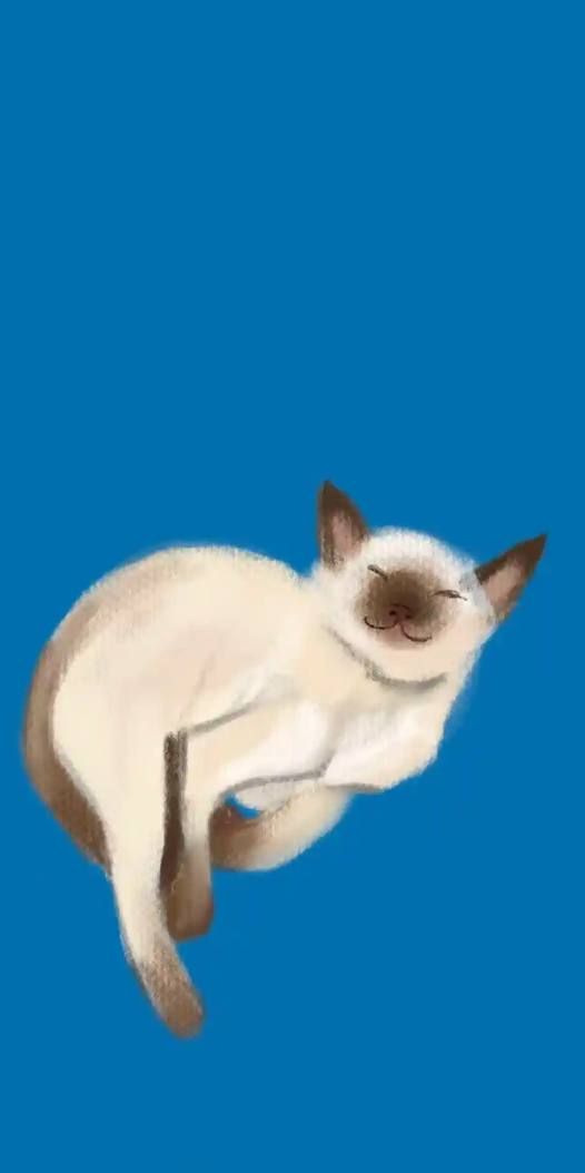 暹罗甜梦