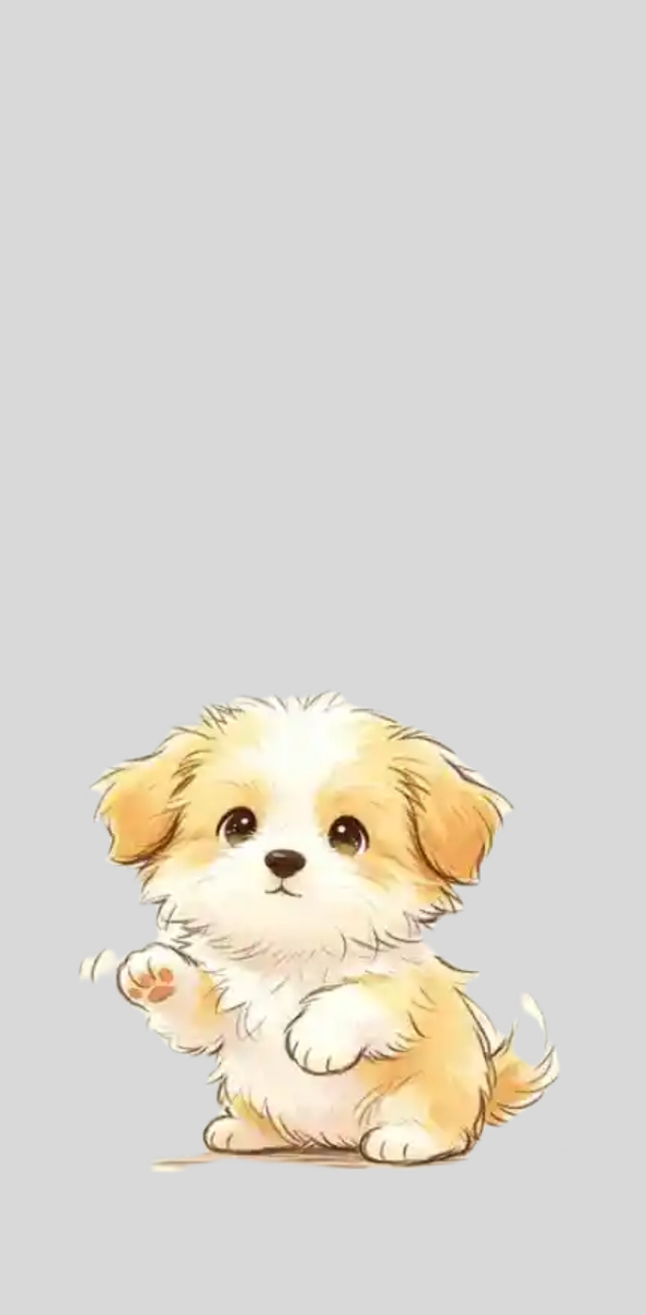 掌间小暖