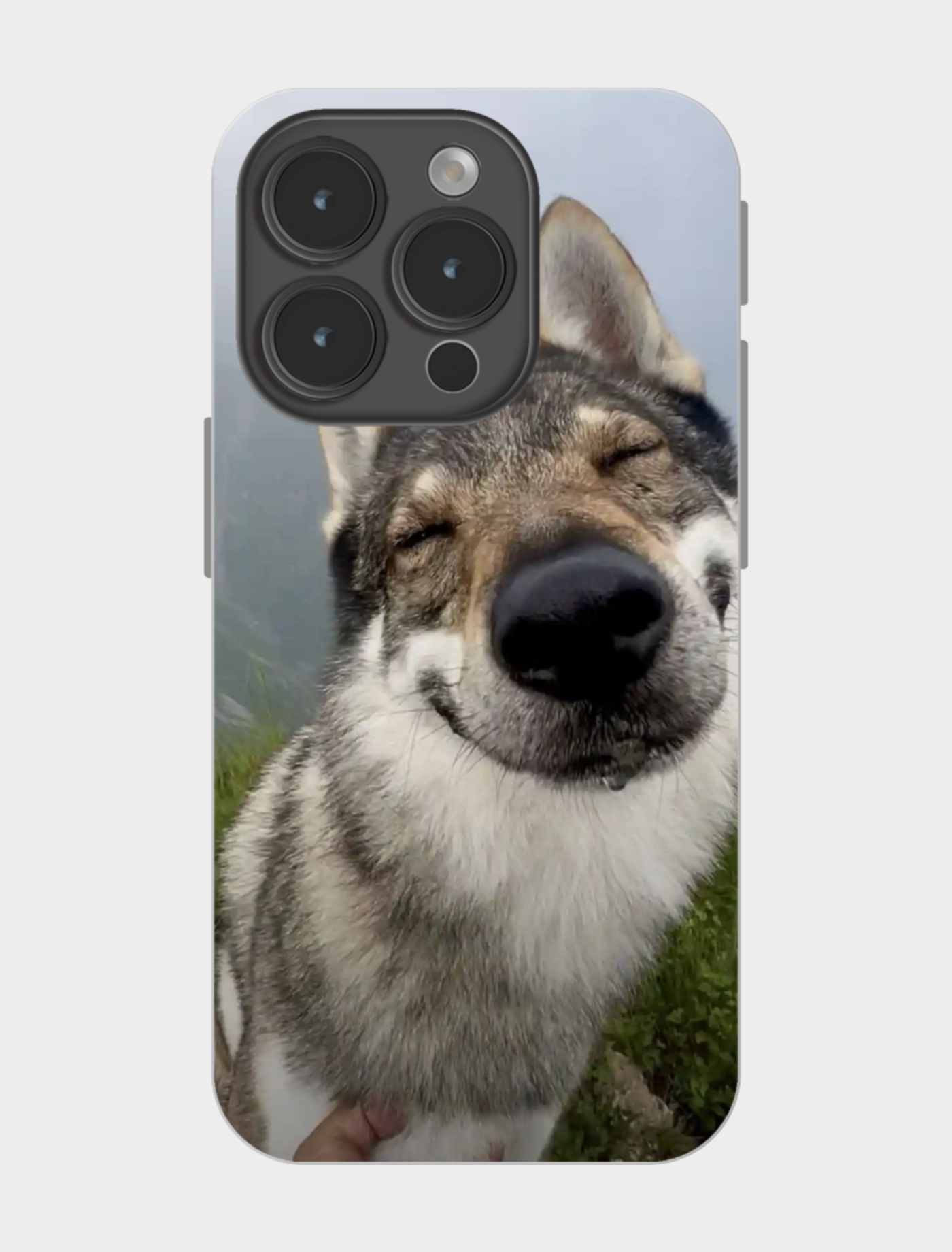 闭眼笑的狼狗手机壳也太治愈了吧！🐶💛